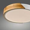 Lámparas Leuchten Direkt BILA Plafones LED Blanca, 1 luz