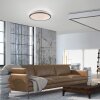 Lámparas Leuchten Direkt KYLE Plafones LED Negro, 1 luz