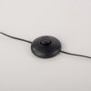 Lámparas Leuchten Direkt RITUS Lámpara de pie LED Negro, 2 luces