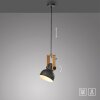 Lámparas Leuchten Direkt 2.0 Lámparas colgantes LED Marrón, Negro, 1 luz