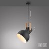Lámparas Leuchten Direkt 2.0 Lámparas colgantes LED Marrón, Negro, 1 luz