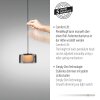 Lámparas Paul Neuhaus Rika Lámparas colgantes LED Negro, 3 luces