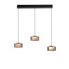 Lámparas Paul Neuhaus Rika Lámparas colgantes LED Negro, 3 luces