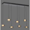 Lámparas Paul Neuhaus Rika Lámparas colgantes LED Negro, 7 luces