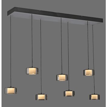 Lámparas Paul Neuhaus Rika Lámparas colgantes LED Negro, 7 luces