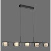 Lámparas Paul Neuhaus Rika Lámparas colgantes LED Negro, 5 luces