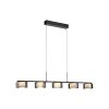 Lámparas Paul Neuhaus Rika Lámparas colgantes LED Negro, 5 luces