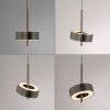 Lámparas Paul Neuhaus Q-Rotate Lámparas colgantes LED Marrón, 1 luz, Mando a distancia