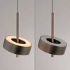 Lámparas Paul Neuhaus Q-Rotate Lámparas colgantes LED Marrón, 1 luz, Mando a distancia