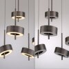 Lámparas Paul Neuhaus Q-Rotate Lámparas colgantes LED Marrón, 5 luces, Mando a distancia
