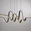 Lámparas Paul Neuhaus Altitude Lámparas colgantes LED Negro, 1 luz