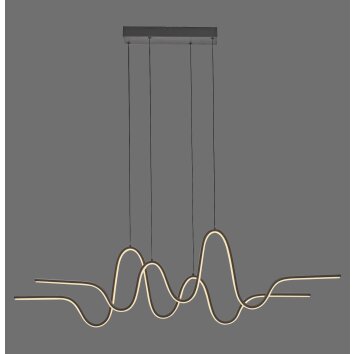 Lámparas Paul Neuhaus Altitude Lámparas colgantes LED Negro, 1 luz