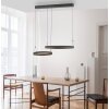 Lámparas Paul Neuhaus Esko Lámparas colgantes LED Negro, 2 luces, Mando a distancia