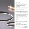 Lámparas Paul Neuhaus Esko Lámparas colgantes LED Negro, 2 luces, Mando a distancia