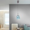 Lámparas Paul Neuhaus Zula Lámparas colgantes LED Marrón, 1 luz