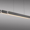 Lámparas Paul Neuhaus Round Lámparas colgantes LED Negro, 2 luces