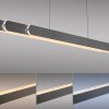 Lámparas Paul Neuhaus Round Lámparas colgantes LED Negro, 2 luces