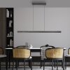 Lámparas Paul Neuhaus Round Lámparas colgantes LED Negro, 2 luces