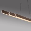 Lámparas Paul Neuhaus Round Lámparas colgantes LED Marrón, 2 luces