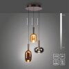 Lámparas Paul Neuhaus Irides Lámparas colgantes LED Marrón, 3 luces