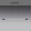 Lámparas Paul Neuhaus Hoop Lámparas colgantes LED Antracita, Plata, 1 luz