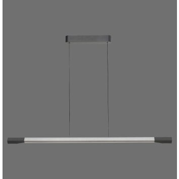 Lámparas Paul Neuhaus Hoop Lámparas colgantes LED Antracita, Plata, 1 luz