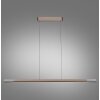 Lámparas Paul Neuhaus Hoop Lámparas colgantes LED Marrón, Plata, 1 luz