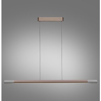 Lámparas Paul Neuhaus Hoop Lámparas colgantes LED Marrón, Plata, 1 luz