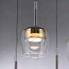 Lámparas Paul Neuhaus Q-Kon Lámparas colgantes LED Marrón, 1 luz, Mando a distancia