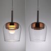Lámparas Paul Neuhaus Q-Kon Lámparas colgantes LED Marrón, 1 luz, Mando a distancia