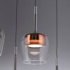 Lámparas Paul Neuhaus Q-Kon Lámparas colgantes LED Marrón, 1 luz, Mando a distancia
