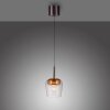 Lámparas Paul Neuhaus Q-Kon Lámparas colgantes LED Marrón, 1 luz, Mando a distancia