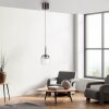 Lámparas Paul Neuhaus Q-Kon Lámparas colgantes LED Marrón, 1 luz, Mando a distancia