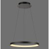 Lámparas Paul Neuhaus Hoop Lámparas colgantes LED Negro, 1 luz