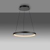 Lámparas Paul Neuhaus Hoop Lámparas colgantes LED Negro, 1 luz