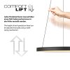 Lámparas Paul Neuhaus Hoop Lámparas colgantes LED Negro, 1 luz