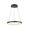 Lámparas Paul Neuhaus Hoop Lámparas colgantes LED Negro, 1 luz