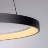 Lámparas Paul Neuhaus Hoop Lámparas colgantes LED Negro, 1 luz