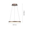 Lámparas Paul Neuhaus Hoop Lámparas colgantes LED Marrón, 1 luz