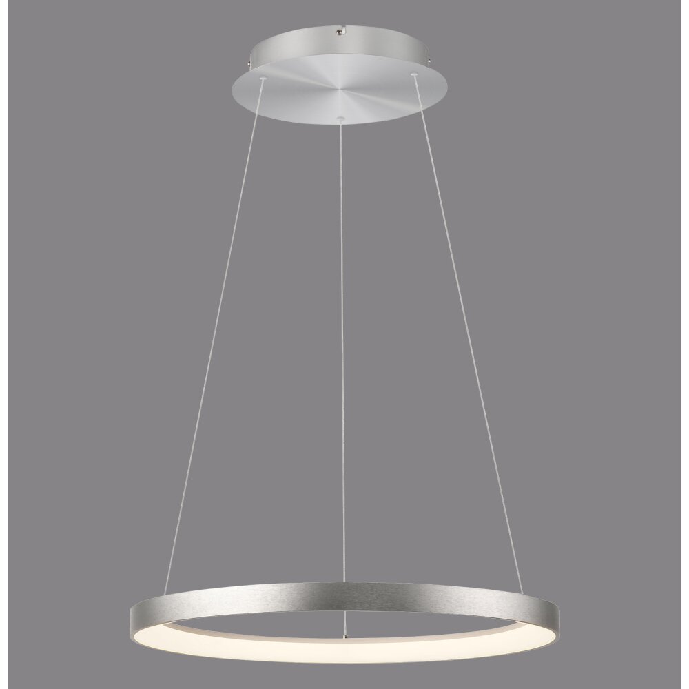 Lámparas Paul Neuhaus Hoop Lámparas colgantes LED Plata, 1 luz main product photo