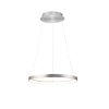 Lámparas Paul Neuhaus Hoop Lámparas colgantes LED Plata, 1 luz