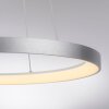Lámparas Paul Neuhaus Hoop Lámparas colgantes LED Plata, 1 luz