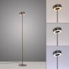 Lámparas Paul Neuhaus Q-Rotate Lámpara de pie LED Marrón, 1 luz, Mando a distancia