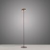 Lámparas Paul Neuhaus Q-Rotate Lámpara de pie LED Marrón, 1 luz, Mando a distancia