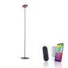 Paul Neuhaus Q-Serie Q-Rotate Lámpara de pie LED Marrón, 1 luz, Mando a distancia