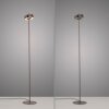 Paul Neuhaus Q-Serie Q-Rotate Lámpara de pie LED Marrón, 1 luz, Mando a distancia