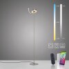 Paul Neuhaus Q-Serie Q-Rotate Lámpara de pie LED Plata, 1 luz
