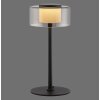 Lámparas Paul Neuhaus Rika Lámparas de mesa LED Negro, 1 luz