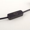 Lámparas Paul Neuhaus Rika Lámparas de mesa LED Negro, 1 luz