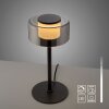 Lámparas Paul Neuhaus Rika Lámparas de mesa LED Negro, 1 luz
